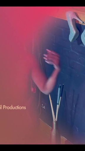 Dog Bruno Goes For Walkies Compilation Trailer   Clip 2