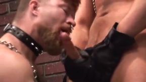 Leather Muscular Bears House