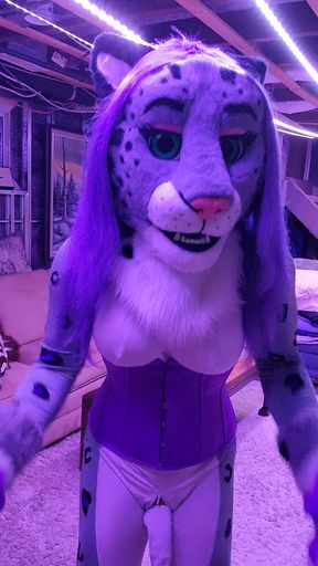 Spandex furry kitty