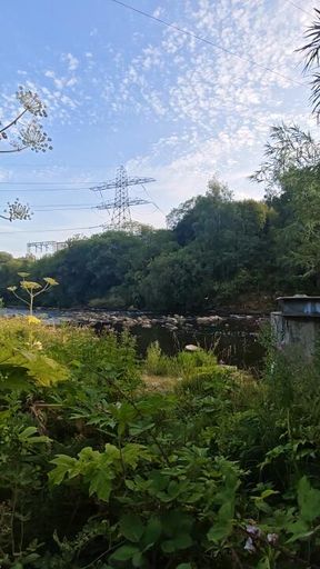 Walk by the River