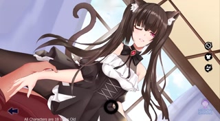 Seek Girl 5 - Complete Unlocked Gallery Review