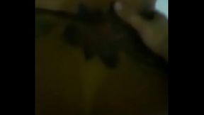 ⋆ Transex de quatro