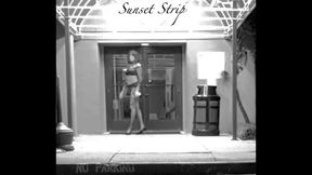 Sunset working her local Hotel