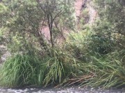 Gorgeous view at Werribee gorge - Echidna eating ants while you’re tasting toes - Manlyfoot roadtrip