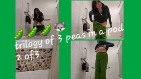 TRILOGY OF 3 PEAS IN A POD GREEN LINEN PANTS PT 2