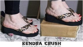 Candid Full Weight Cock Crush During Housework - Without realizing it, I keep crushing his penis with my full weight over and over again while I’m cleaning the bookshelf, and then I also crush it hard under the step stool I use to reach higher up