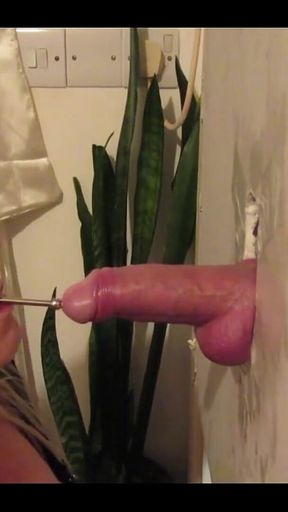 Hot Wife at a Gloryhole and Sticking a Rod Down His Dick