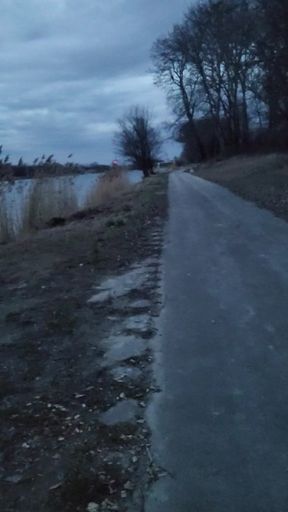 Night walk