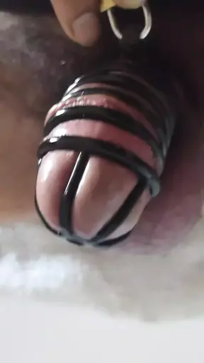 Chastity cage after a week of sissy training, dreaming of a daddy&#039;s cock