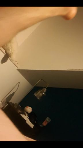 Trying the New Lights