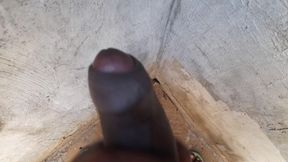 Black hard paradais