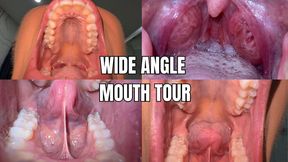Wide angle mouth tour - OnlyVanessa