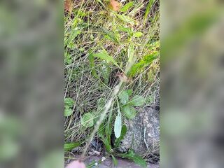 Can’t Hold My Pee, Pissing on Side of the Road - Dane Coxx