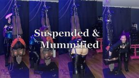 Mummified in nylon and suspended by the feet.