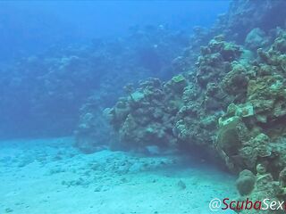 SCUBA Sex in a Miniskirt by a Beautiful Coral Reef