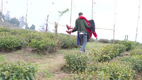 Stranger Help Tea Garden Girl.