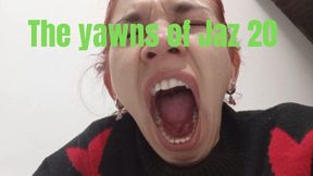 The yawns of Jaz 20