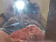 Verga Mexicana 22CM semi-erecta