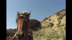 Hard Love for a Wild Princess