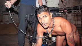 Welcome, Ya Filthy Pig Bottom - PigBottoms