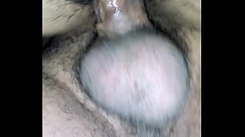 Empinada de perrito