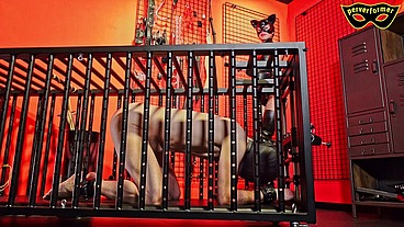 In a Predicament Position Trapped Inside the Cage