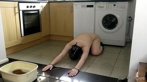 slave cleans kitchen floor in chains