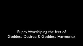 Foot Massage instructions