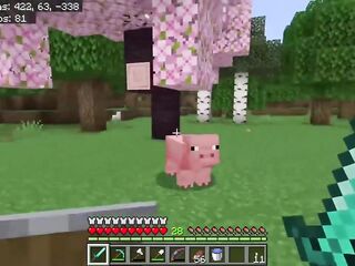 We get Diamond Armor and Return to the Nether OwlCraft EP 13