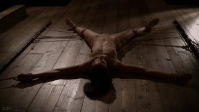 Chained and claimed by my willing, eager servant heart