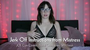 Jerk Off Instructions from Mistress