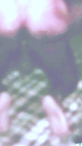 I fucked a Hindu boy, watch his full video.   Clip 2