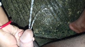 Desi Bhabhi Sucked the Dick After Peeing