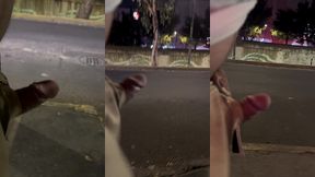 caminando con la verga por delante