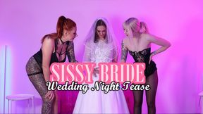 Sissy Bride - Wedding Night Tease