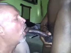 Black Bear Cub Takes on Daddy