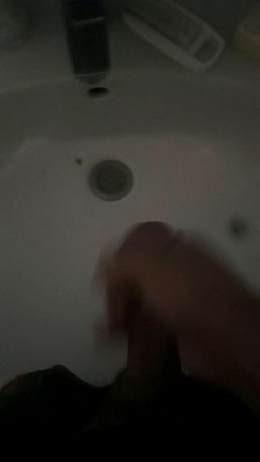 Jerking in the bathroom sink