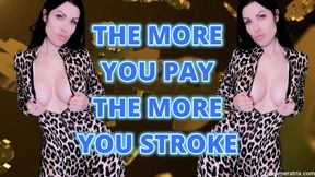 THE MORE YOU PAY THE MORE YOU STROKE