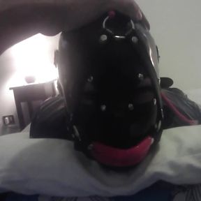 Laura is hogtied in latex catsuite and high heels, throated with a lip open mouth gag POV