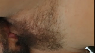 Part 1 I gave my dog a nice hose bath on a hot day and she got all wet