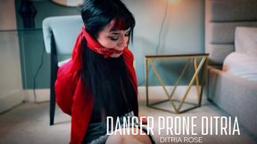 Danger Prone Ditria - Ditria Rose