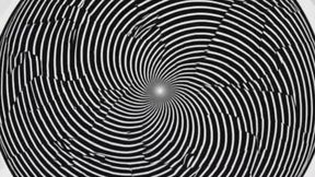 The Oak Tree Part 2 The Shedding