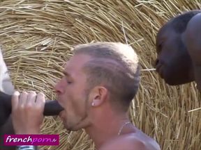 FrenchPorn - Black dicks