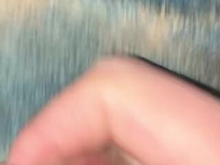 every single day wank 08/thirty - my dong leaks precum until I cum - wank defiance