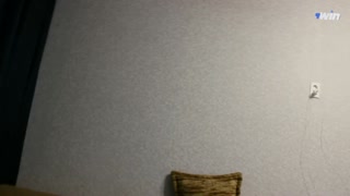 vice squad, fucked a cop.