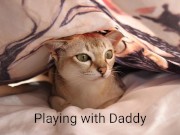 Hide and seek with daddy