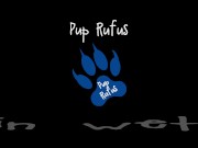 Rufus pawing off in wetsuit, fins and pool