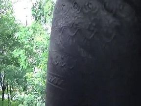 Naught babe reveals her perfect ass in a local park