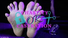 Chastity Or Castration - HD