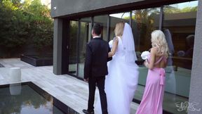 Trans Angels - the Day of the Wedding Is Here and Michael Stax Can't Wait to Have Casey Kisses All to Himself